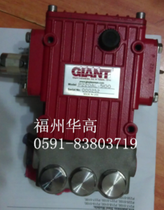 GIANT不銹鋼柱塞泵P218-5100